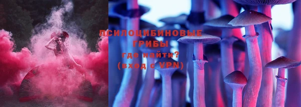 твердый Дмитриев