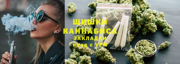 твердый Дмитриев