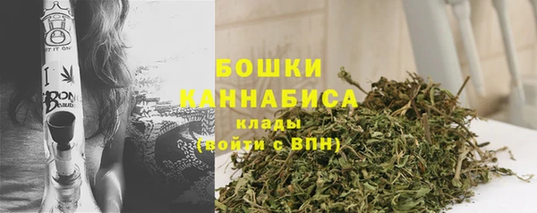 ГАЛЛЮЦИНОГЕННЫЕ ГРИБЫ Гусь-Хрустальный