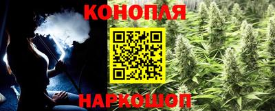индика Волжский