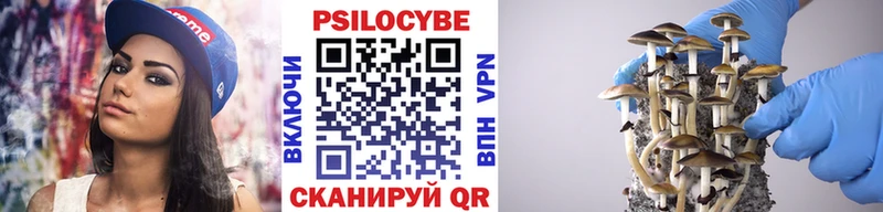 Галлюциногенные грибы GOLDEN TEACHER  где купить   Железноводск 