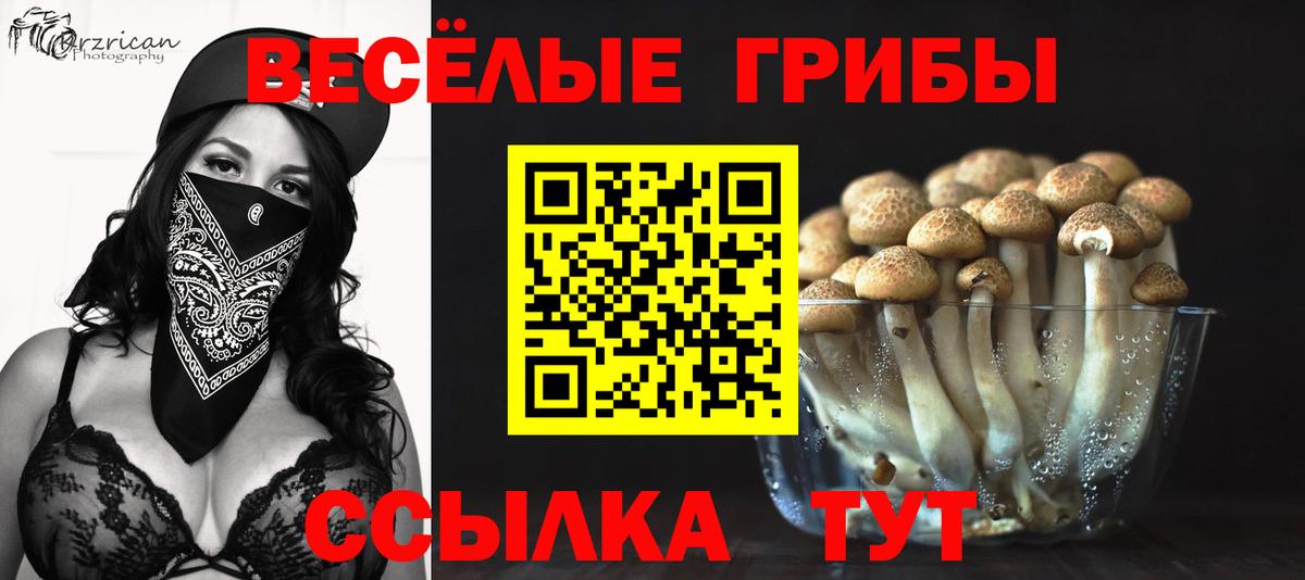Псилоцибиновые грибы Psilocybine cubensis Железноводск