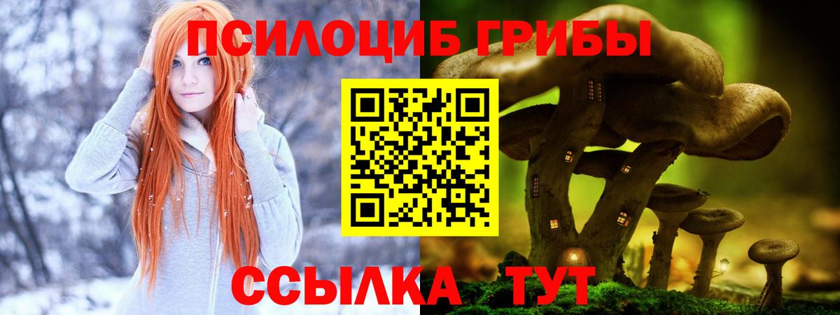 Галлюциногенные грибы мицелий  Вход с VPN  Псилоцибиновые грибы Psilocybine cubensis  Железноводск 
